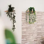 Komfortferienwohnung Mureck-neu-kueche-smart Tv-wifi-parken Frei * Mureck